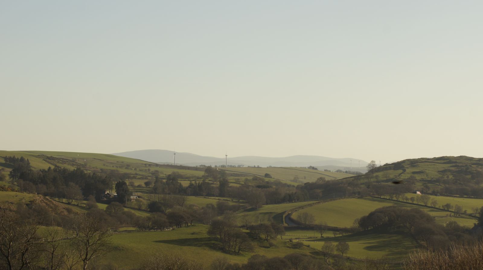soft hills with two distant wind turbines