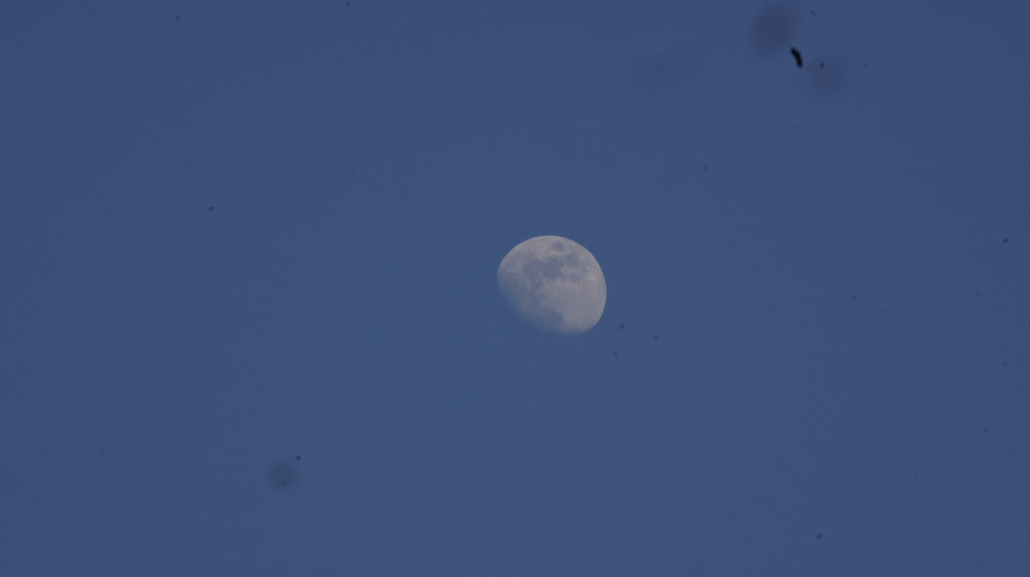 a gibbous moon in a deep blue sky