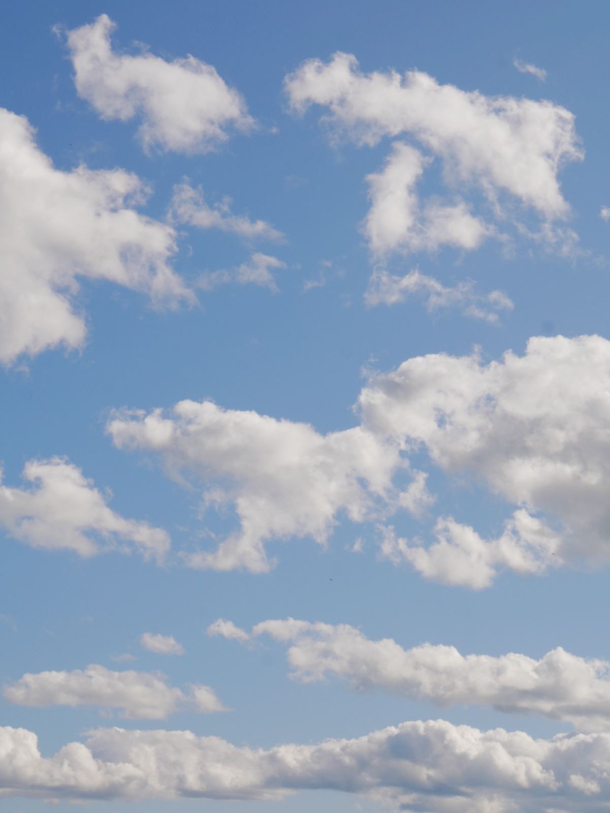 summer cumulus on a clear day