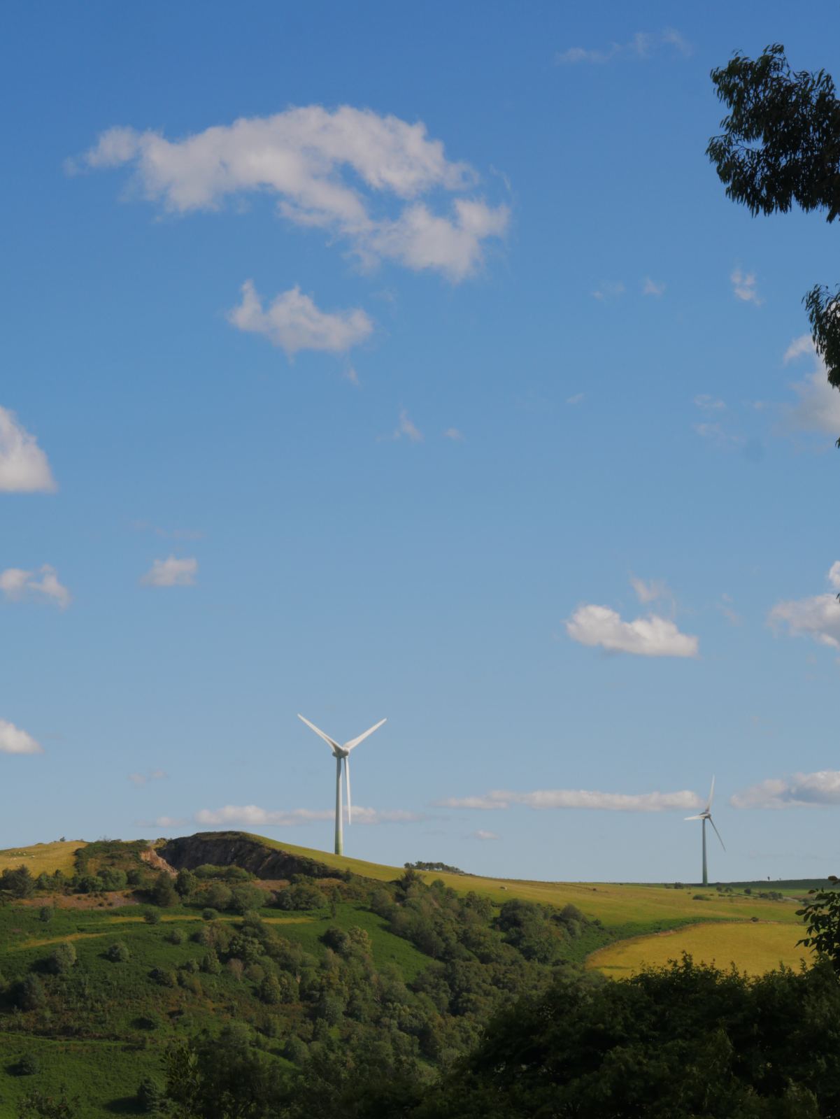 two wind turbines on a green hillside under summer sky